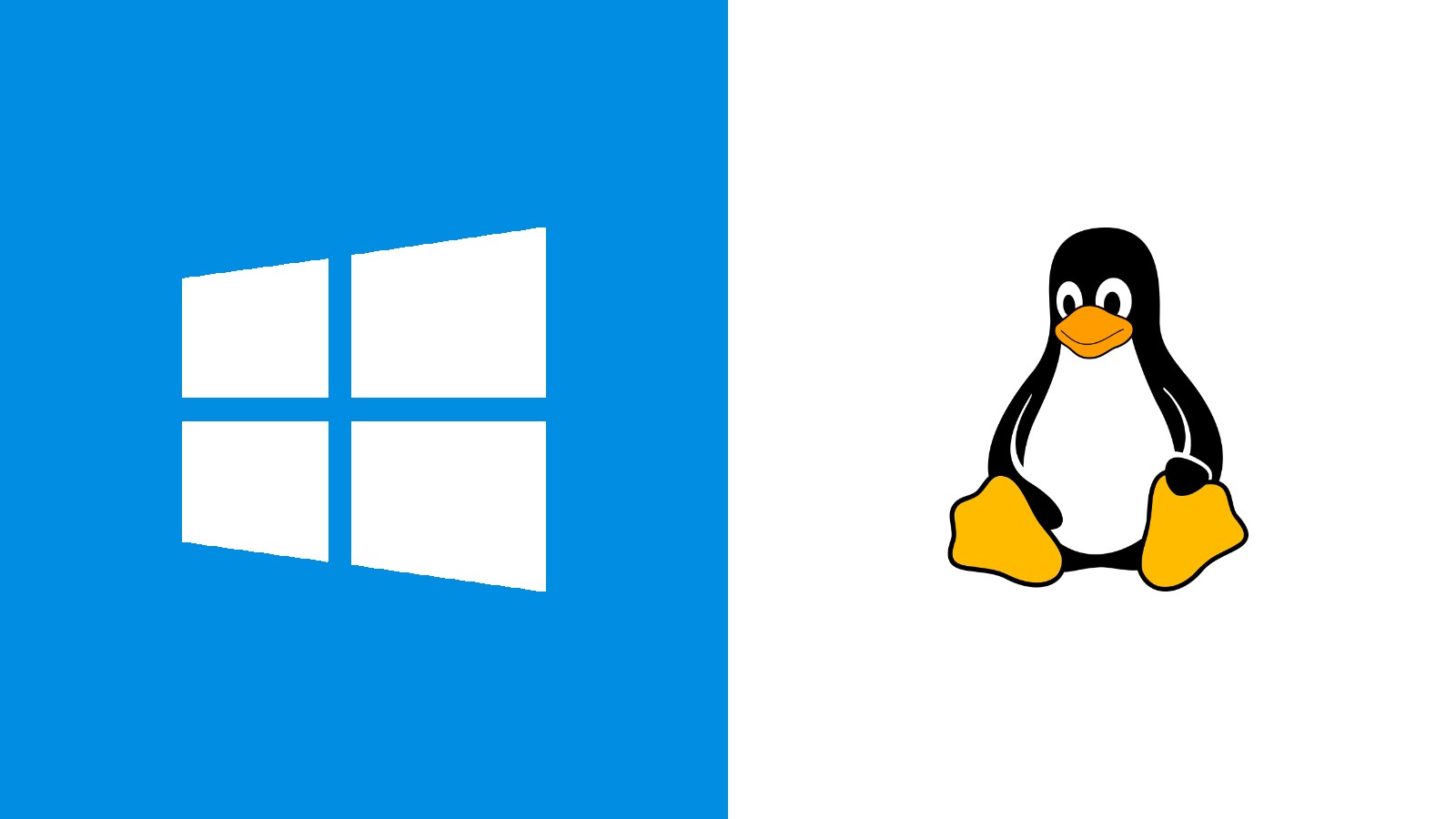 Windows to Linux